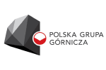 Polska gruppa logo
